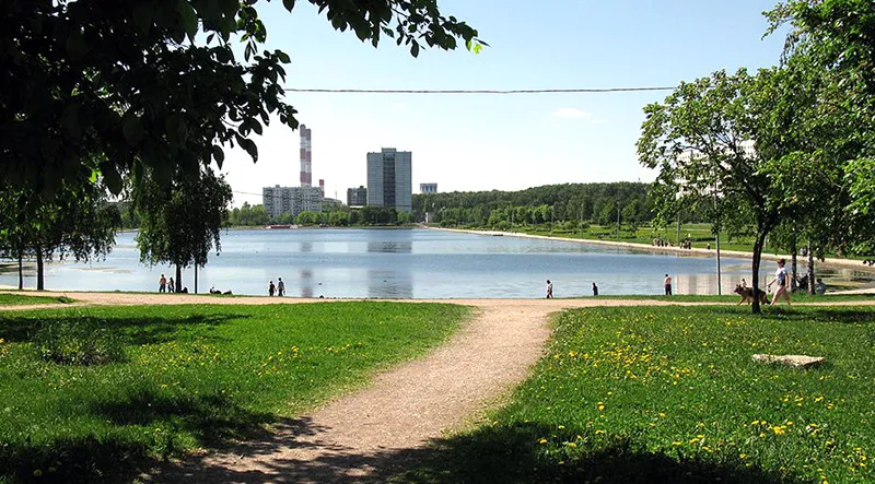 Фото: wikipedia/commons 1024px-Goliyanovo,_Moscow_-_pond_07.jpg