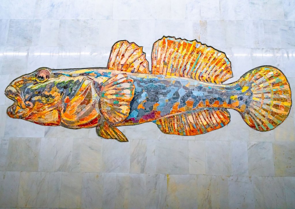 На станции БКЛ «Нагатинский затон» появятся изображения рыб столичных рек