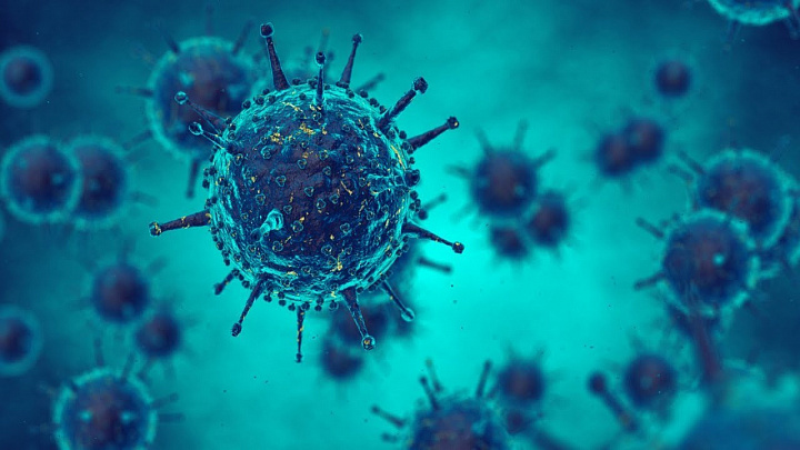 Росконтроль ответил на популярные вопросы о возможности заражения коронавирусом