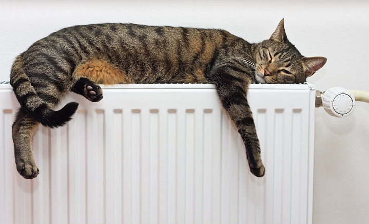 Отопление в столичных домах включат раньше срока 