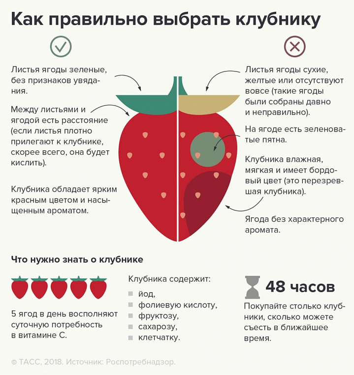 В Москве начали работу более 70 прилавков с клубникой 